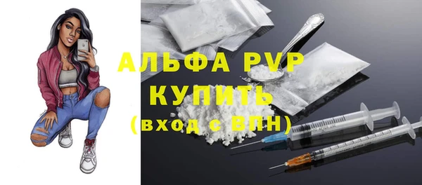 стафф Арсеньев