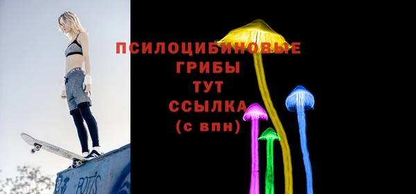 стафф Арсеньев