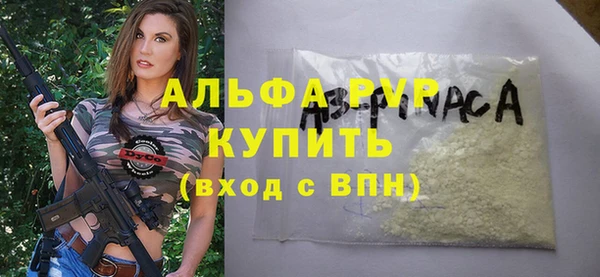 стафф Арсеньев