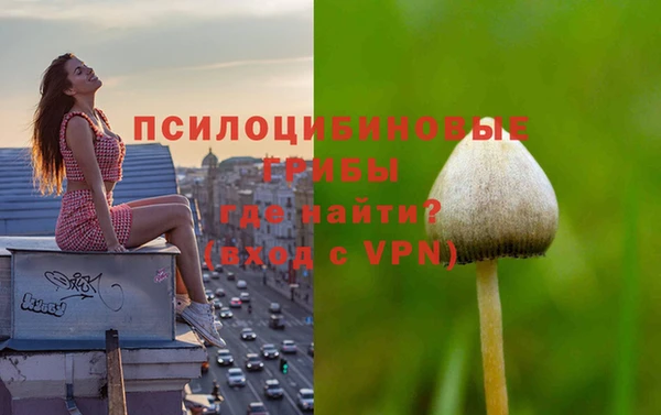 винт Аркадак