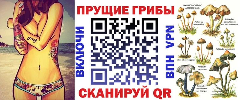 купить закладку  MEGA рабочий сайт  Галлюциногенные грибы Psilocybine cubensis  Топки 